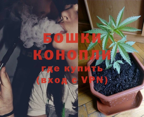 стаф Белокуриха
