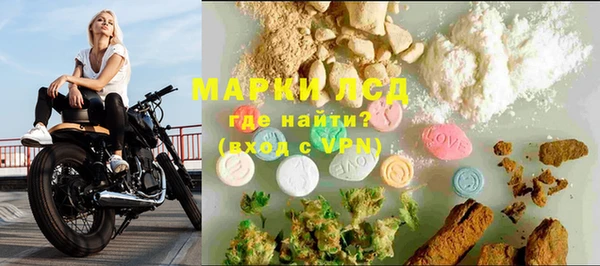 стаф Белокуриха