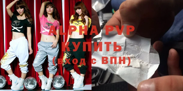 стаф Белокуриха